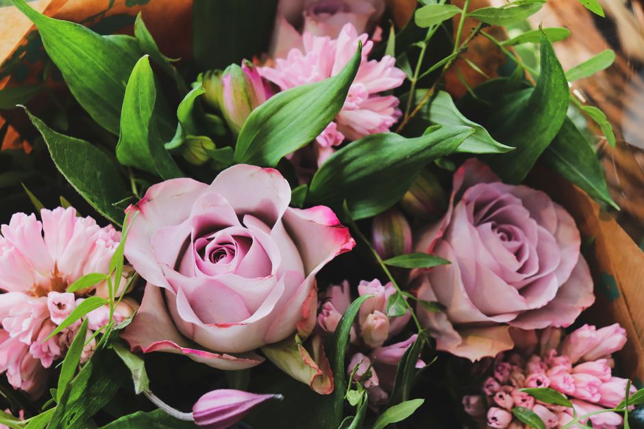 A floral arrangement featuring pale pink roses with tightly packed petals and subtle red edges, complemented by soft pink carnations with ruffled blooms, all arranged with lush green foliage and buds.
