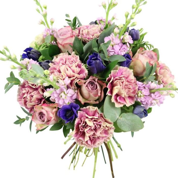 This hand-tied bouquet stands out crisply against a plain white background, allowing each bloom and leaf to be fully appreciated, much like pausing to admire a particularly well-kept garden in Ardleigh Green. At its core, large garden roses in soft blush pink, dusty mauve, and antique rose shade open gracefully, their layered petals forming a plush, rounded centre that speaks of romance and thoughtful craftsmanship. Around and between these roses, frilly carnations contribute abundant texture, their many petals transitioning from creamy beige and pale blush at the heart to deeper rose, fuchsia, and plum hues towards the edges, creating a rich, ruffled surface that catches the light. Deep indigo and royal blue tones bring striking contrast. Some appear as neat, tulip-like buds, while one prominent open anemone near the base reveals a velvety royal blue ring around a dark centre, drawing focus and preventing the pastel palette from feeling too soft. Vertical accents come from spires of lilac and pale lavender stock, their closely packed blossoms lining slender stems and introducing airiness and the suggestion of a light, sweet scent, reminiscent of early evening walks near local parks. The whole composition is framed by generous greenery: cool, rounded eucalyptus leaves in silvery-green intertwine with darker, glossy foliage to provide volume, structure, and a refreshing visual balance. At the bottom, the stems are clearly gathered and tied, emphasizing the bouquet's freshly arranged nature and readiness for delivery in and around Ardleigh Green. The overall impression is one of polished elegance with a contemporary edge, ideal for anniversaries, thank-you gifts, or adding a refined floral accent to a special dinner at home.