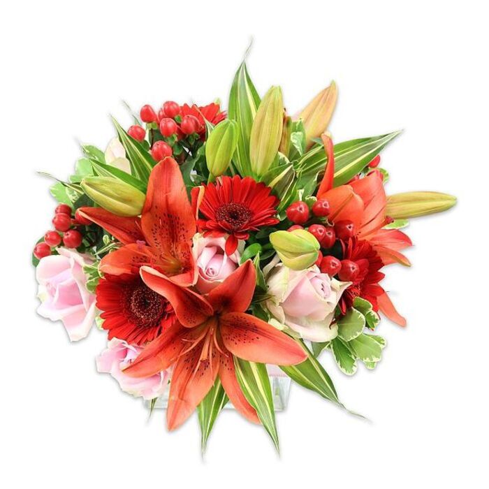 This lush bouquet, photographed on a clean white field to emphasise colour and form, is an accomplished blend of bold and tender blooms created with neighbourhood sensibilities in mind. Large Asiatic lilies in a warm orange-red command attention: their sweeping petals curve back to reveal subtle dark speckling and distinctive stamens with dusted anthers that add architectural detail. Nestled among these are vivid, deep-red Gerbera daisies, each with many delicate rays of petals converging on a darker central eye to give the arrangement rhythmic energy. Pale pink roses offer a softer, romantic counterpoint - their layered petals ranging from tightly bound buds to open cups that catch the light gently. Small groups of bright red hypericum berries are strategically tucked in to provide small, glossy contrasts and a tactile, beaded texture.
Generous green foliage-broad, smooth leaves and a few variegated sprays with green-and-white striping-frames the flowers and builds the round, abundant silhouette. A couple of unopened lily buds lift the composition with promise and seasonal timing. The combined fragrances suggest a sweet, slightly spicy bouquet, and the varied textures-paper-thin lily petals, velvety rose surfaces, and the waxy berries-invite close inspection. Crafted with the eye of an experienced local florist, this arrangement would suit many of Ardleigh Green's occasions: as a thoughtful congratulatory gift, a romantic gesture after a walk in Langtons Gardens in nearby Hornchurch, or simply to brighten a home in the Havering area. Flowers Ardleigh Green would present it as a statement of warmth and careful design for the local community.